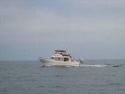 Missys Catalina 2005 00251.jpg: 2005/07/25 Heinekin's Catalina Pics - 2005